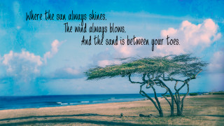 Tree beach sun quote jigsaw - dr. seuss free wallpaper