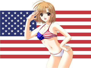 American flag bikini woman star - an american flag free wallpaper