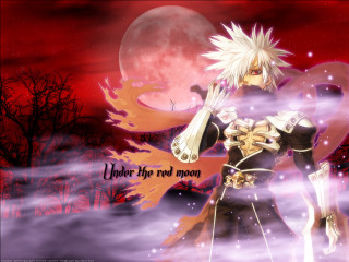 Anime sword fullmoon trees redsky - a full moon and trees free wallpaper