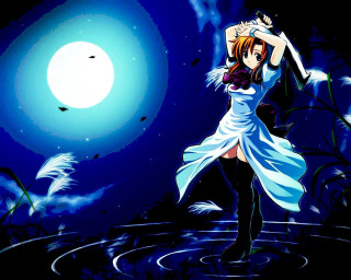 Woman water bird night moon - a white dress free wallpaper for desktop