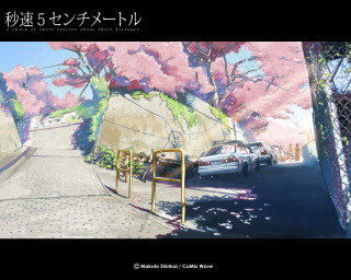 Car mural cherryblossoms street kyoto - the wall behind free wallpaper