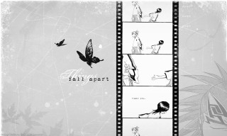 Film strip bird butterfly comic - side and the words free wallpaper