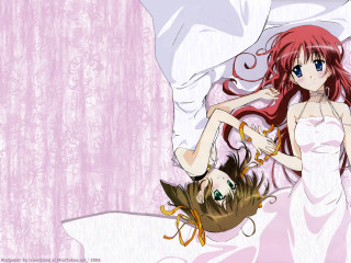 Woman bed pink wall flowers - top of a bed next free wallpaper for desktop