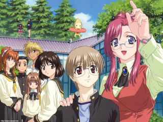 Danube school group outdoors girls - tree and a sky background free wallpaper