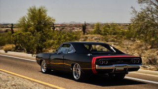 Black car forest road sunny - eleanor best free wallpaper