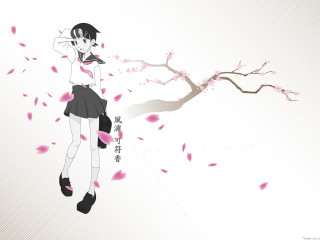 Woman cherry blossoms manga school - pink petal free wallpaper