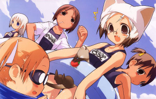 Anime group swimsuits cat ears - an album cover free wallpaper for desktop