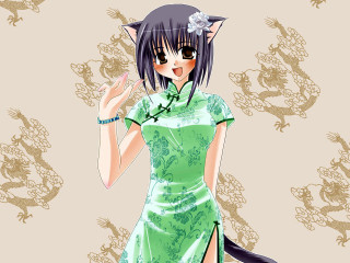 Woman green dress cat dragon - a green dress free wallpaper