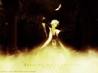 Woman white dress staff forest - a staff free wallpaper