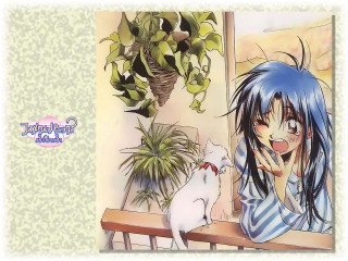 Blue hair girl cat bench - a bench in front free wallpaper