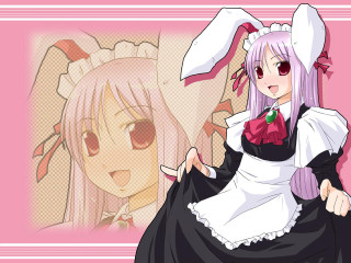 Pink bunny costume white rabbit - a white rabbit free wallpaper