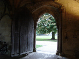 Wooden door bike sidewalk tree - a grassy area free wallpaper