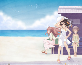 Beach girls sitting standing horizon - one girl free wallpaper for desktop