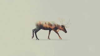 Colorful deer walking white background - a watercolor painting free wallpaper
