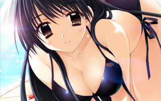 Woman blonde blush bikini smile - computer art free wallpaper for desktop