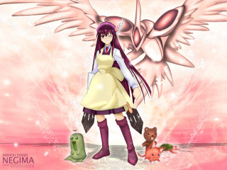 Girl sword cat bird angel - her shoulder and a cat free wallpaper