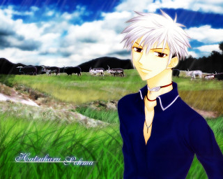 Anime white hair field cows - the background and a sky free wallpaper