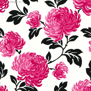 Pink flower white background black - petal free wallpaper