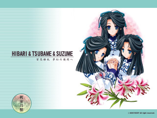Hibari tsubime suzume flower sisters - three woman free wallpaper