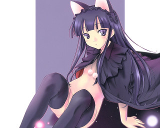 Ayako rokkaku anime girl cat - free cats wallpaper
