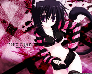 Pink black outfit cat tail - a cat tail free wallpaper for desktop