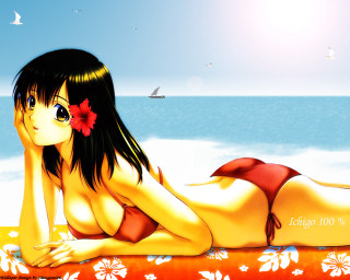 Woman beach bikini flower bird - over her head free wallpaper for desktop