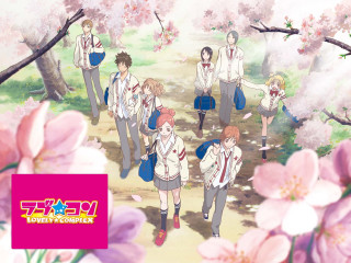 Flower group blossoms pink boys - a pink flower in the foreground free wallpaper for desktop