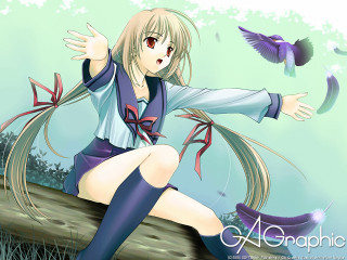 Girl bird log longhair ribbon - above her free wallpaper
