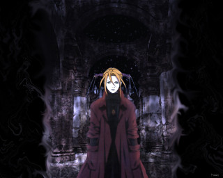 Blonde coat black cat night - a black cat free wallpaper for desktop