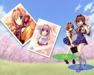 Anime girls cherry blossoms school - a field of grass and trees free wallpaper
