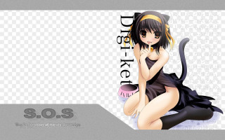 Black dress woman cat sitting - her lap and a cat free wallpaper