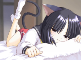 Girl cat bed anime kemonomimi - over her head free wallpaper