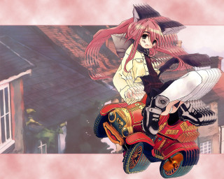 Girl motorcycle cat urban anime - her back and a cat free wallpaper for desktop