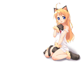 Anime girl cat ears blonde - a anime girl free wallpaper for desktop