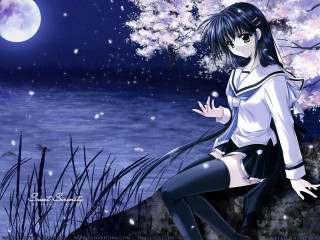 Girl lake fullmoon cherryblossoms anime - a rock in front free wallpaper