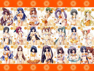 Women bikinis orange slices puzzle - bikinis free wallpaper