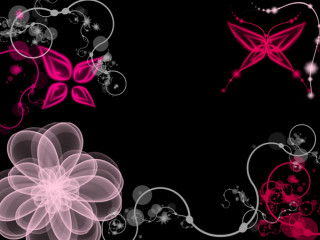 Black background pink white flowers - flower and swirls free wallpaper