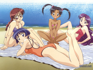 Beach girls towel ocean bikini - top of a beach next free wallpaper for desktop