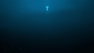 Person surfboard water dark blue - armin hansen free wallpaper