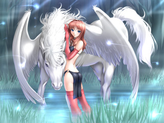 Woman horse angel wings forest - anne stokes free wallpaper for desktop