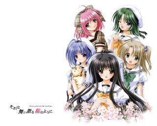 Anime girls cat sailor uniforms - long hair and a cat free wallpaper