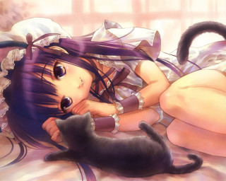 Girl cat lying anime gothic - a cat free wallpaper