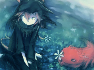 Woman fish field flower bubble - a fish free wallpaper for desktop