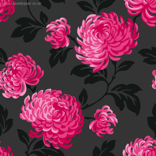 Pink flower black background leaves - a pink flower free wallpaper for tablet