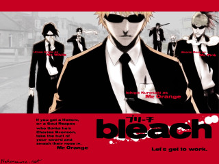 Bleach plasticien poster baioken eishun - word free wallpaper for desktop