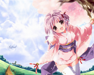 Pink girl cherry blossoms kimono - a tree branch in front free wallpaper