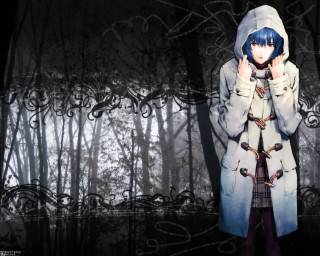 Woman hooded coat forest redd - coat free wallpaper
