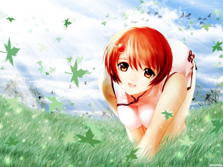 Girl field stars butterfly redhair - star free wallpaper for desktop