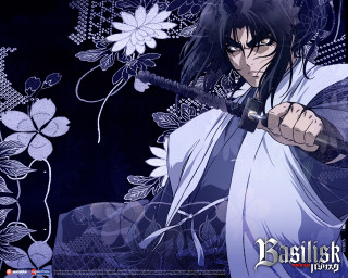 Basilisk flower man sword butterfly - a white flower free wallpaper