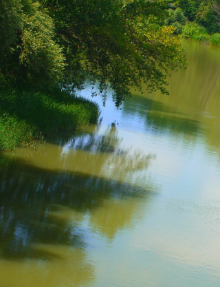 River boat tree grass forest - an impressionist painting free wallpaper